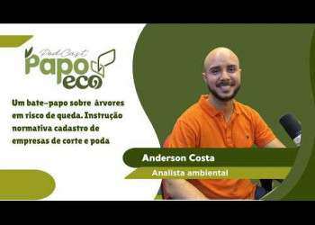 Poda de Árvores em Teresina: Quando Pode? O Que Diz a Lei e os Riscos Ambientais | Papo Eco