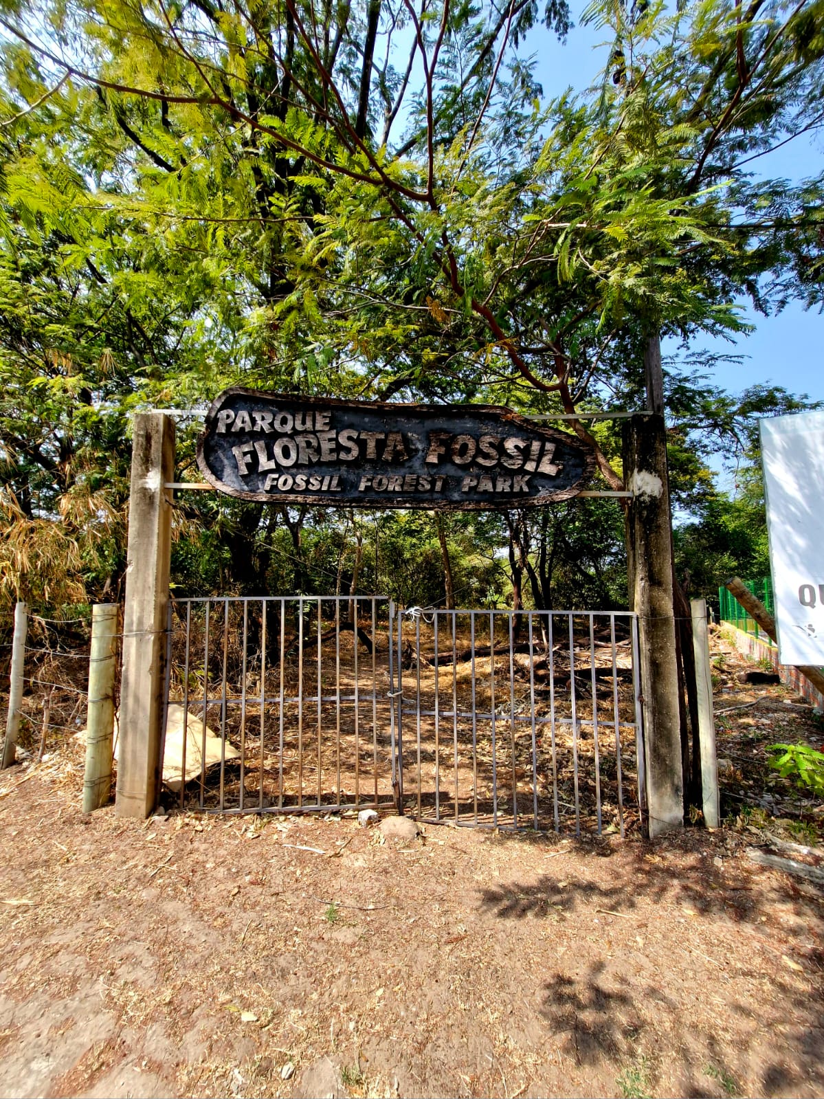 Entrada da Floresta Fóssil