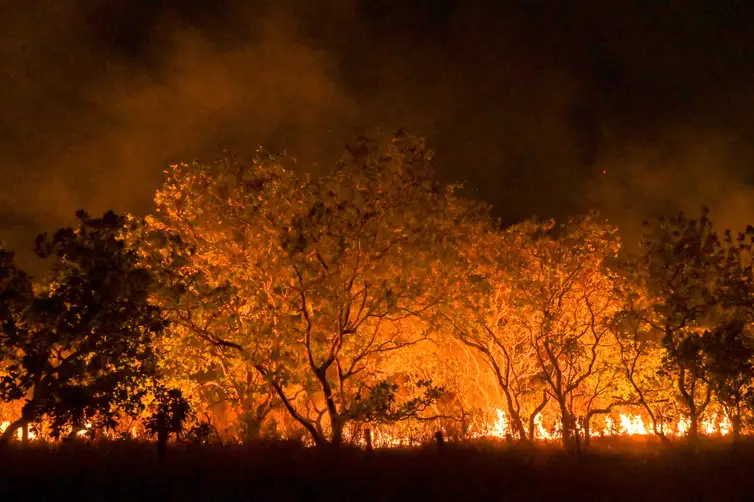 20-02-2024 Queimadas e incêndios em Amajari – Roraima - Foto Jader Souza/AL Roraima